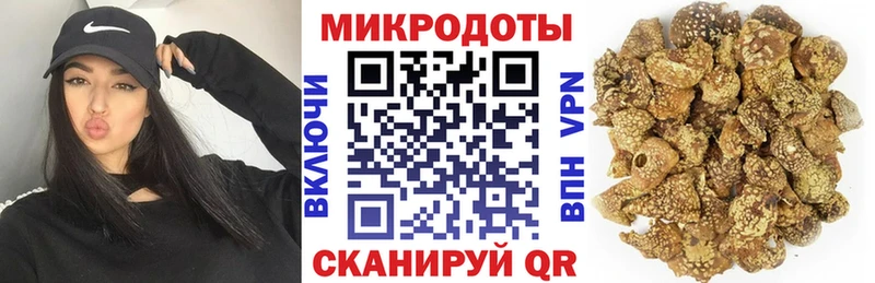 Псилоцибиновые грибы Psilocybe  Иноземцево 